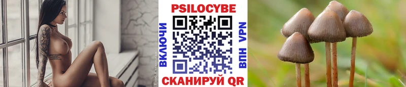Псилоцибиновые грибы ЛСД  Слюдянка 